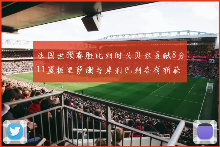 法国世预赛胜比利时戈贝尔贡献8分11篮板里萨谢与库利巴利各有斩获